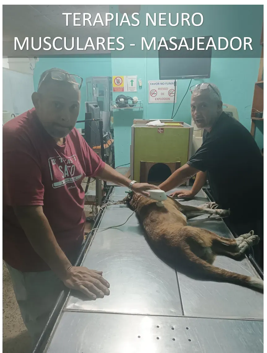 Fisioterapia